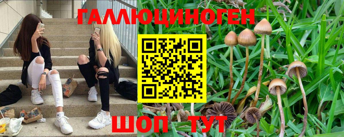 Псилоцибиновые грибы Magic Shrooms  Вход с VPN  Орёл 