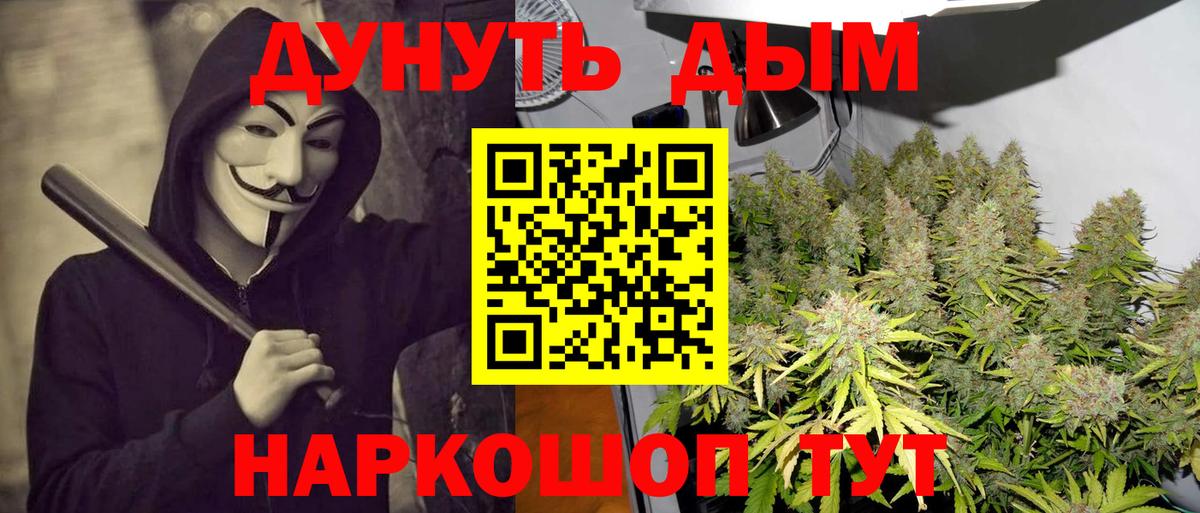 Канабис OG Kush Орёл